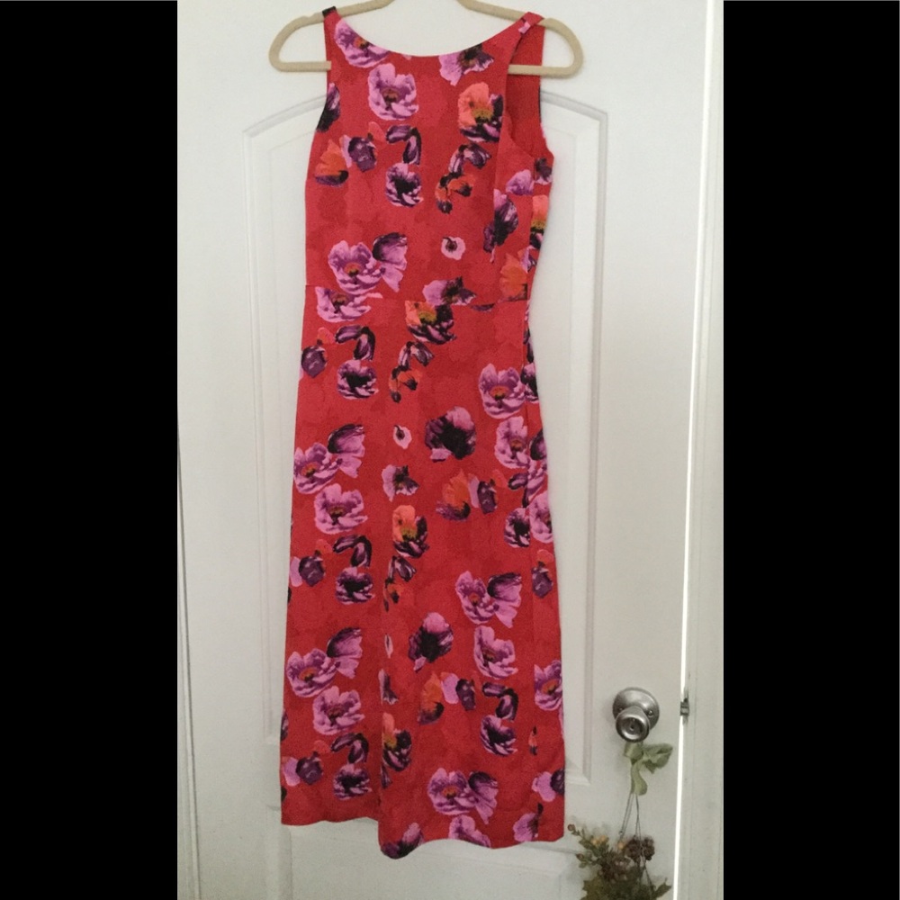 Banana Republic Red Poppy V Back Fit & Flare Dress